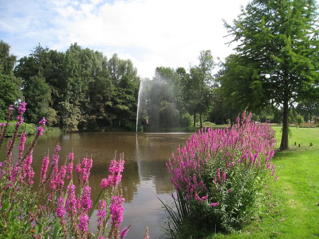 Gemeente Oldambt vacatures