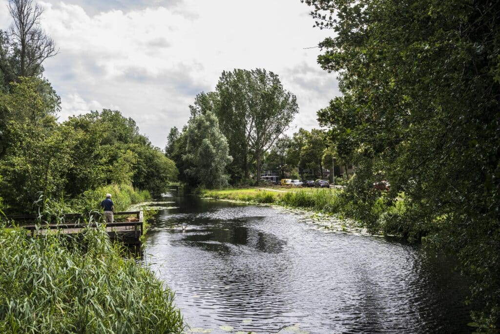 Gemeente Purmerend vacatures
