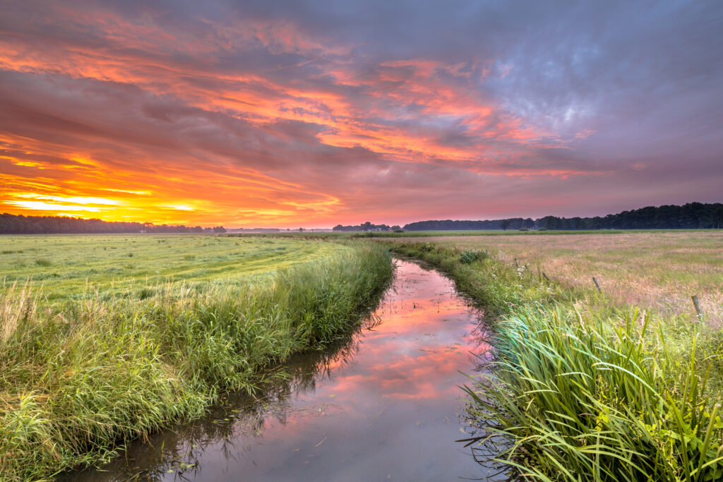 Gemeente Ooststellingwerf vacatures