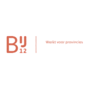 BIJ12