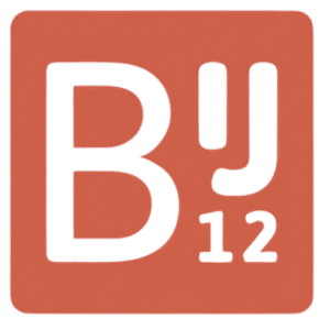BIJ12