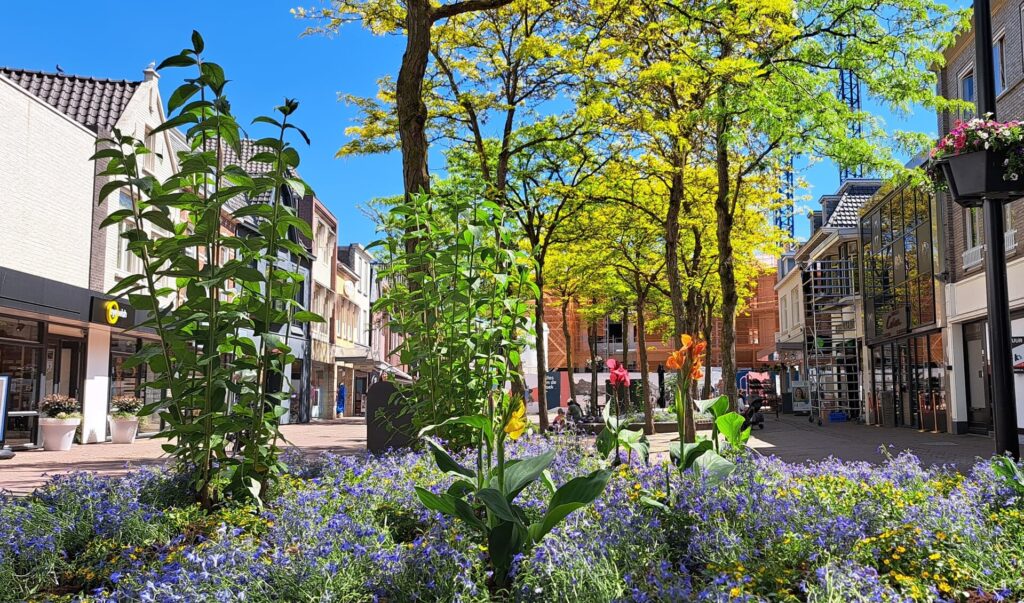 Gemeente Oss vacatures