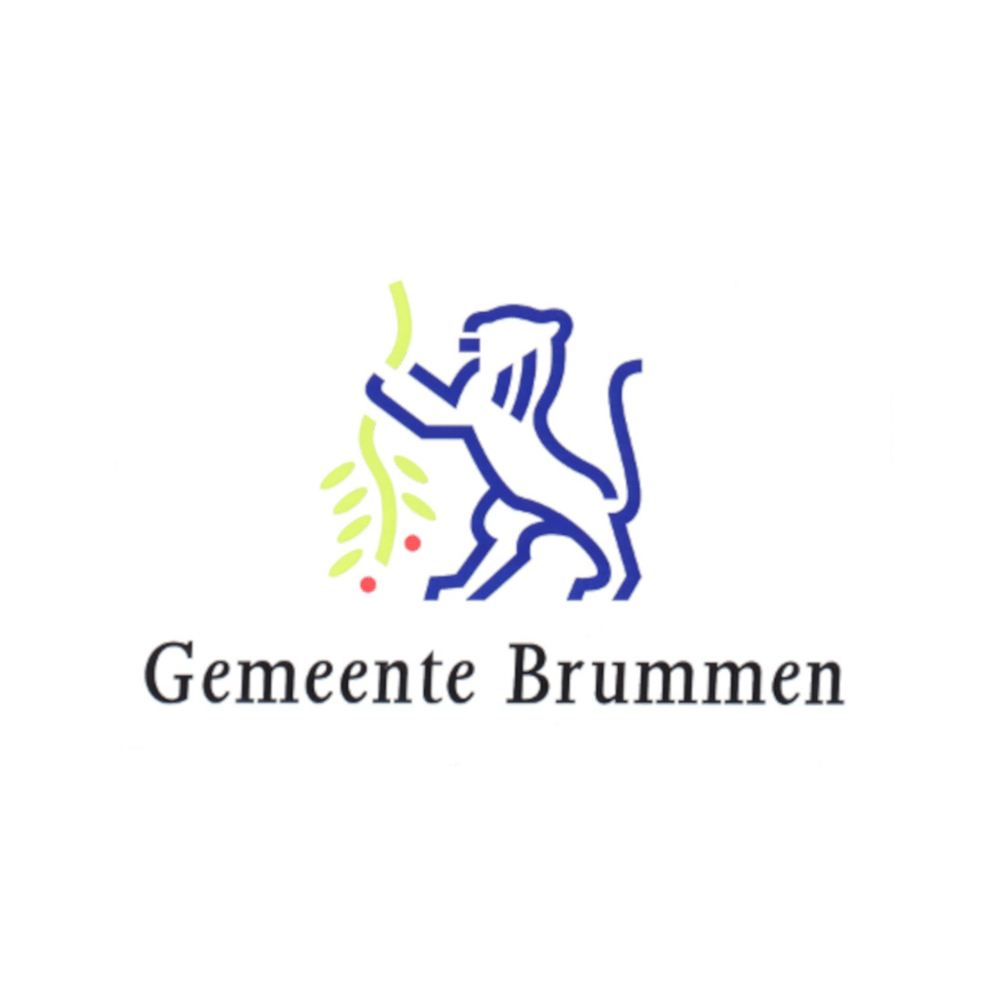 Logo van Brummen