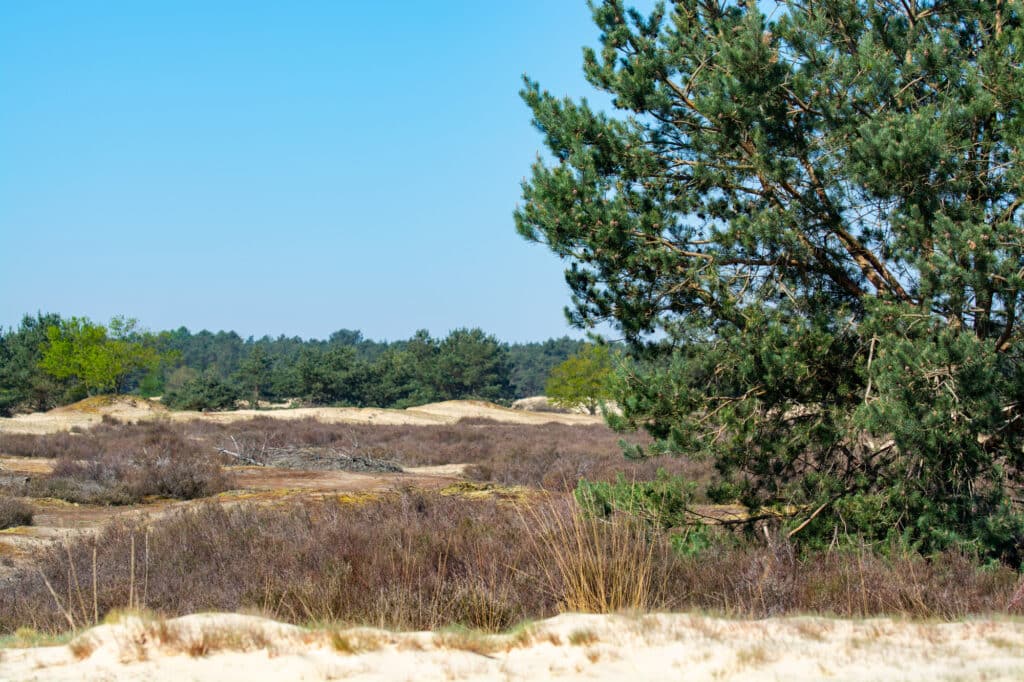 Gemeente Loon op Zand vacatures